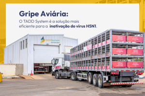 Gripe Aviária (H5N1): um alerta real para o agronegócio brasileiro 