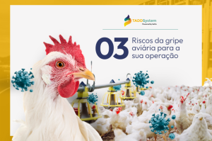 3 riscos da Gripe Aviária para a sua operação