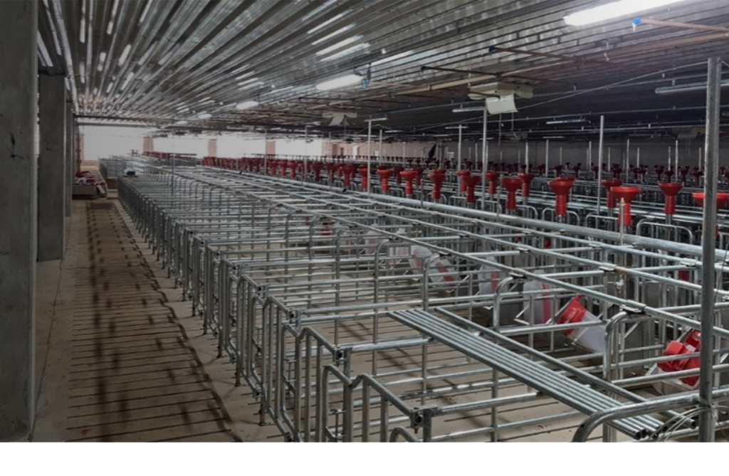 Infraestrutura elétrica para núcleo genético de suínos