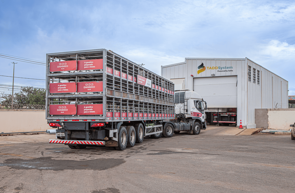 Por que investir no TADD System? A evolução da biossegurança no transporte animal