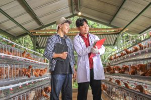 Biossegurança ou colapso: o que está em jogo na proteção da cadeia alimentar brasileira