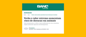 Verão e calor extremo aumentam risco de doenças em animais