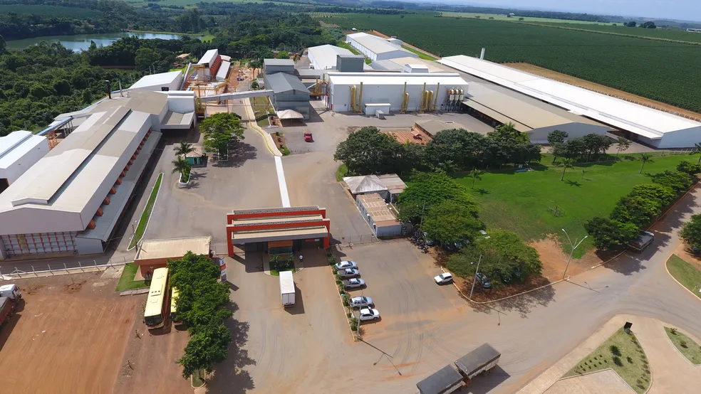 Expansão da capacidade produtiva com automação e infraestrutura elétrica para beneficiamento de sementes